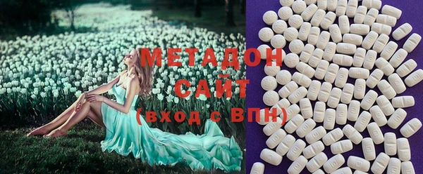 шишки Покачи