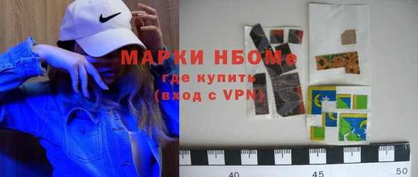 шишки Покачи