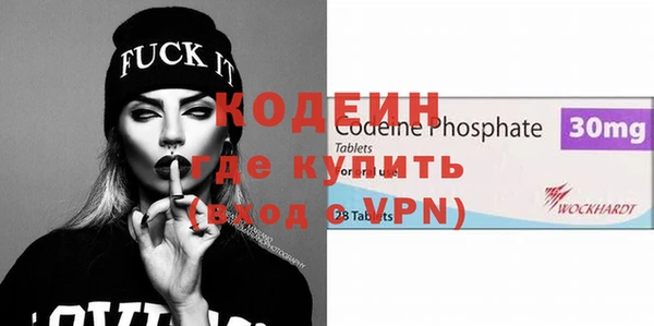 шишки Покачи