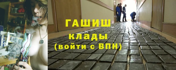 шишки Покачи