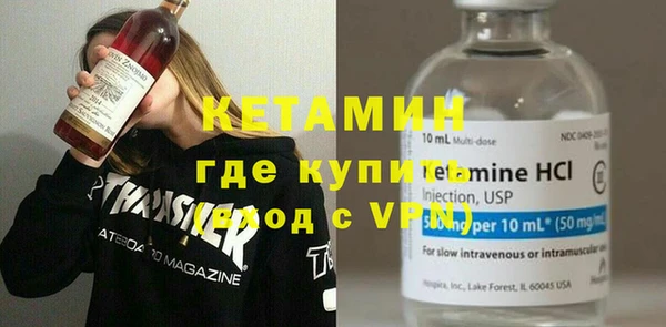 шишки Покачи