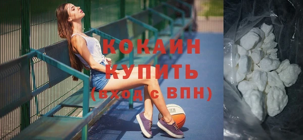 шишки Покачи