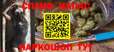 сатива Гусиноозёрск