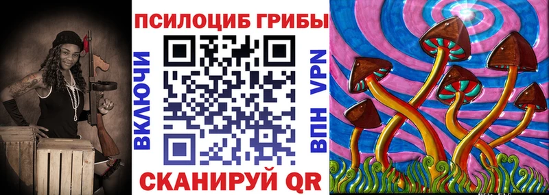 цена Кузнецк Псилоцибиновые грибы мухоморы