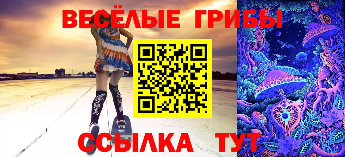 купить наркотики цена  Вход с VPN  Кузнецк  Галлюциногенные грибы GOLDEN TEACHER  Галлюциногенные грибы MAGIC MUSHROOMS 