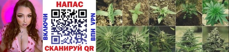 Марихуана THC 21%  наркошоп  Кузнецк 